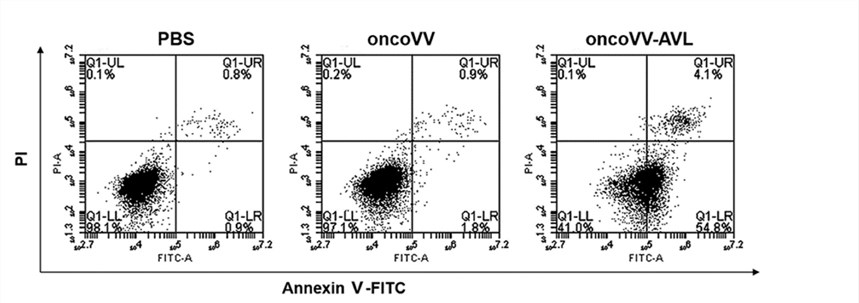 The apoptosis rate of Huh7 cells is detected by flow cytometry. (OA Literature)