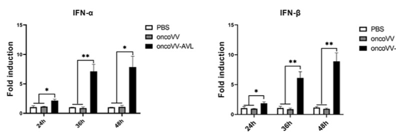 Upregulation of typeⅠinterferon transcription. (OA Literature)