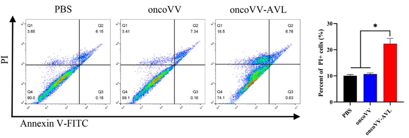 The percentage of apoptotic/dead cells was determined using flow cytometry. (OA Literature)