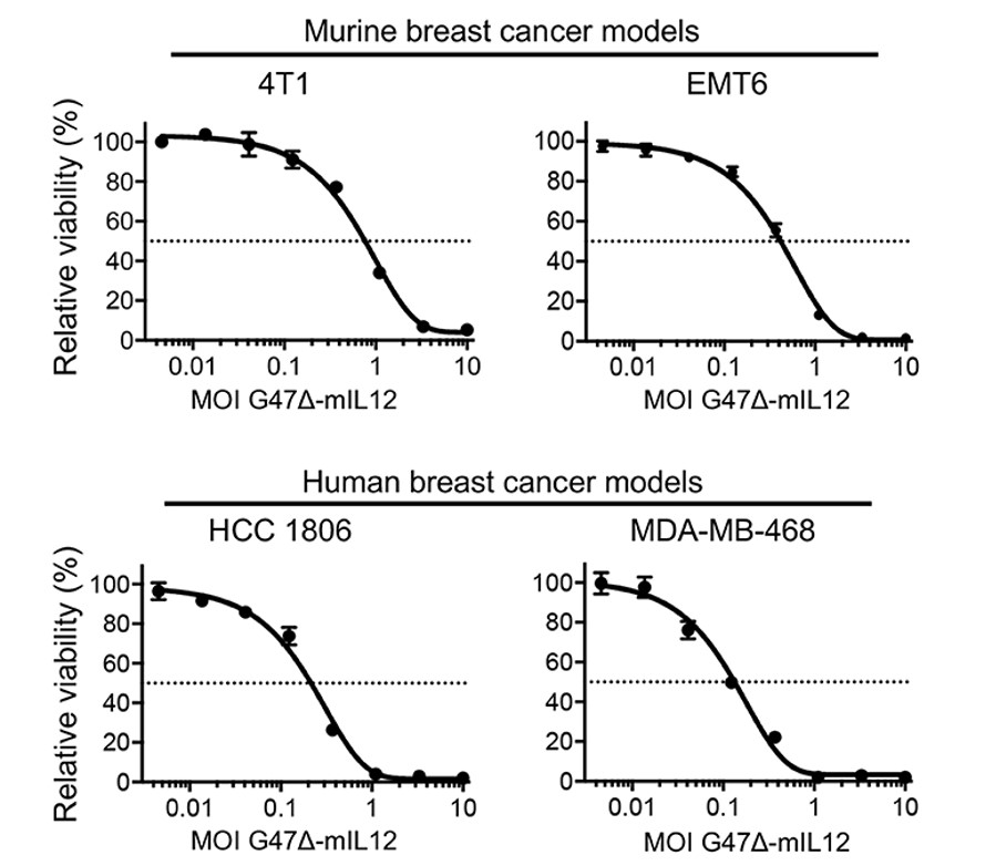 The cell viability of 4T1, EMT6, HCC 1806 and MDA-MB-468 is significantly decreased after treatment with oncolytic herpes simplex virus. (OA Literature)