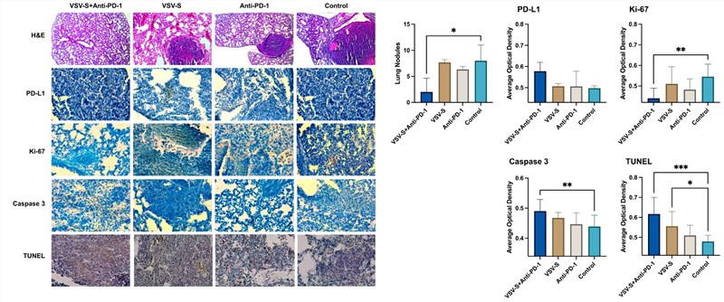 The target marker is stained using immunohistochemistry and the area is counted. (OA Literature)