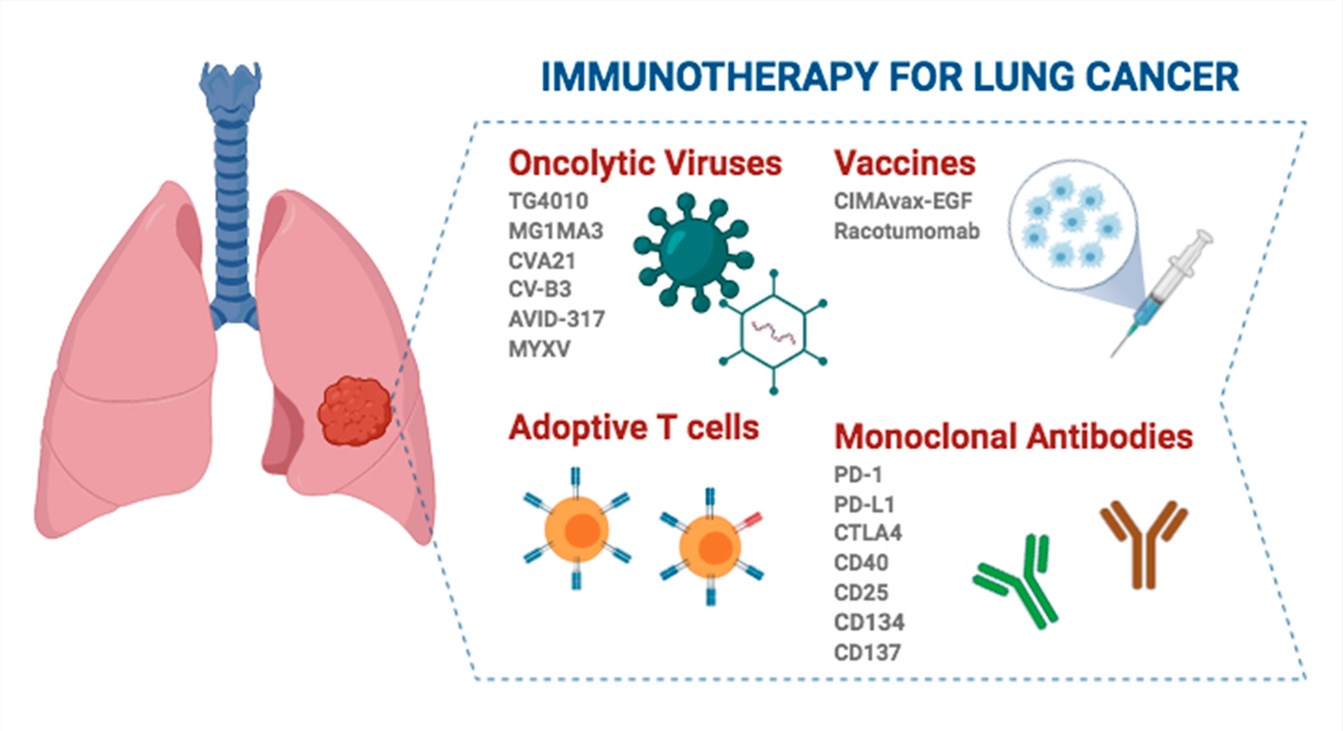 Immunotherapy for lung cancer. (OA Literature)