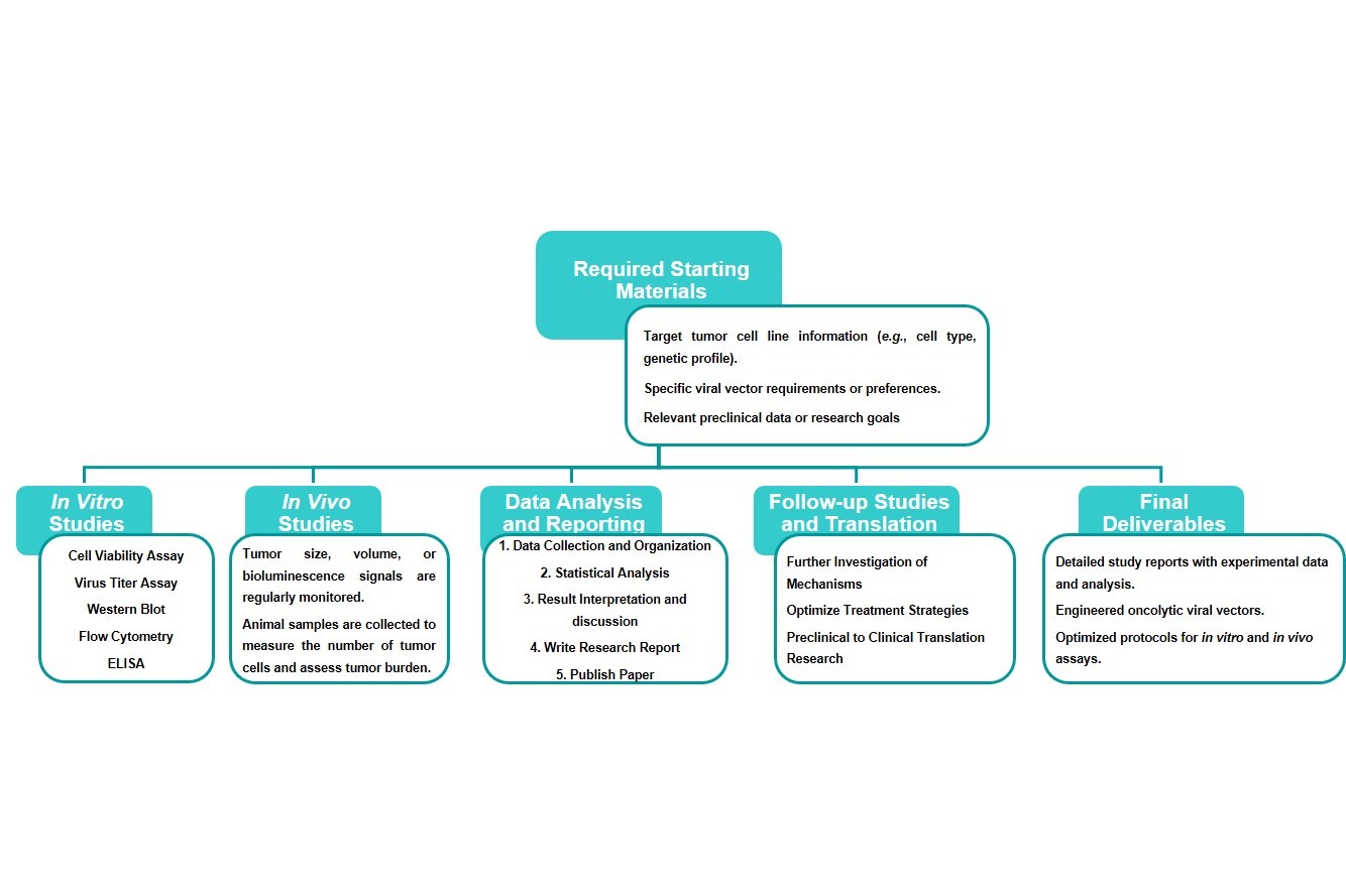 The basic process of oncolytic virus-related services conducted by Creative Biolabs. (Creative Biolabs Original)