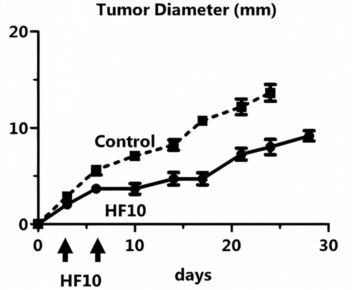 Oncolytic viruses effectively shorten the diameter of head and neck tumors. (OA Literature)