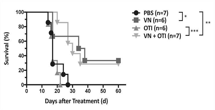 Survival rates by treatment group, plotted in Kaplan-Meyer curves. (OA Literature)