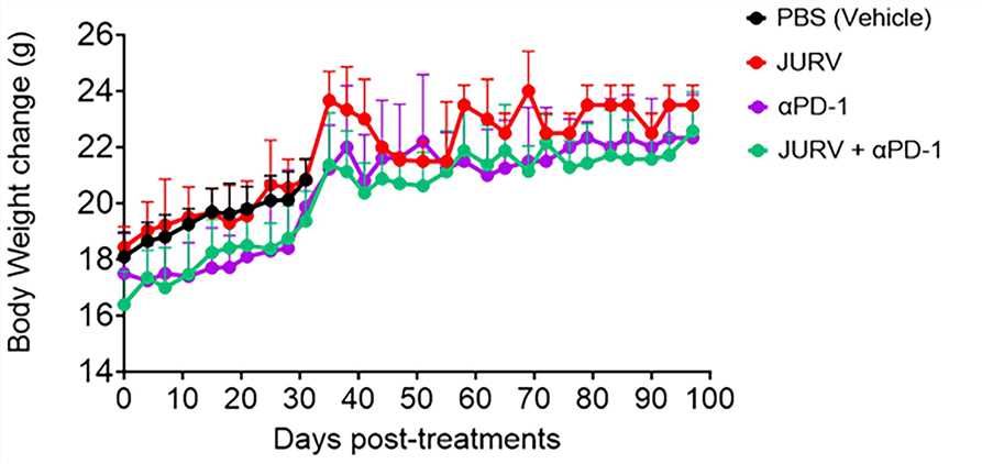 The body weight of mice is plotted as a function of time after treatment. (OA Literature)