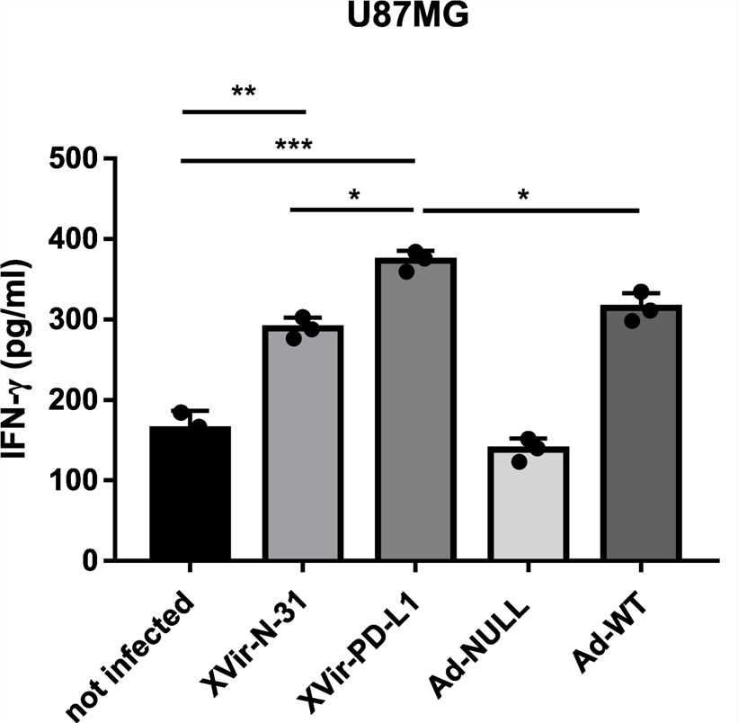 IFN-γ release from human PBMC co-cultured with virus-infected cells was measured by ELISA. (OA Literature)