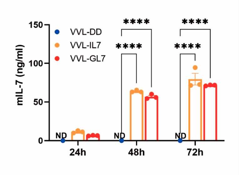 Levels of mouse and IL-7 secreted in the cell culture medium were quantified by ELISA. (OA Literature)
