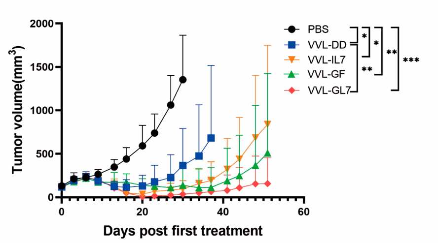 Tumor volume is measured every three days after the start of treatment. (OA Literature)