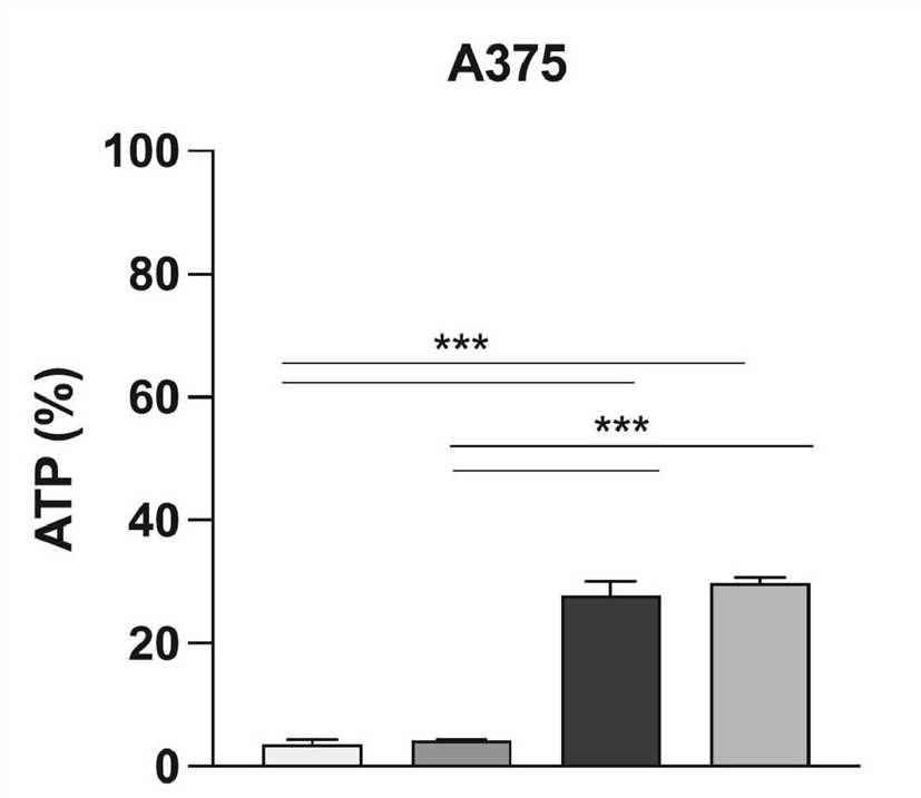 Extracellular ATP secretion was assessed with an ATP assay kit. (OA Literature)