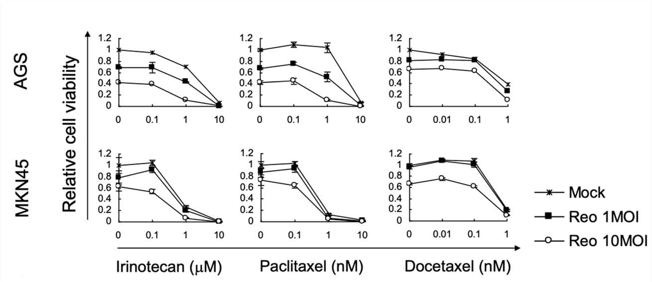 The cells were treated with the combination of oncolytic virus and chemotherapeutic drugs, and the cell killing effect was evaluated within a certain period of time. (OA Literature)
