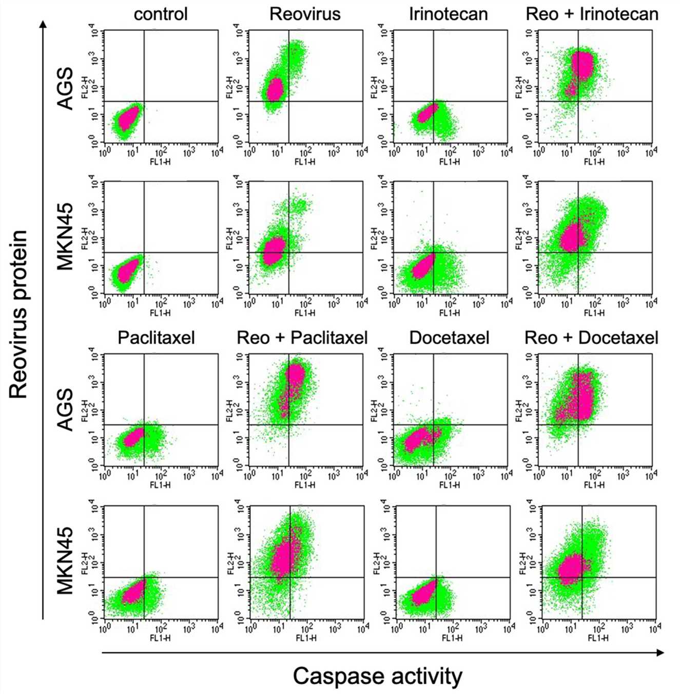 Tumor cell apoptosis was determined by flow cytometry. (OA Literature)
