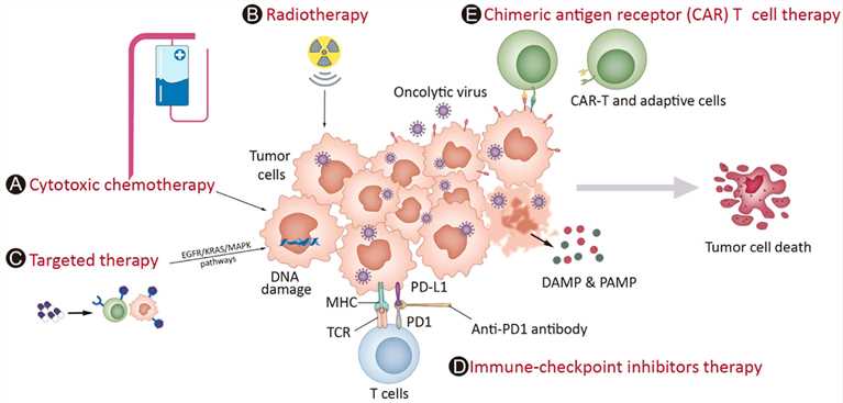 Oncolytic viruses can be combined with ICI, chemoradiotherapy, and aggressive T cells to treat tumors. (OA Literature)