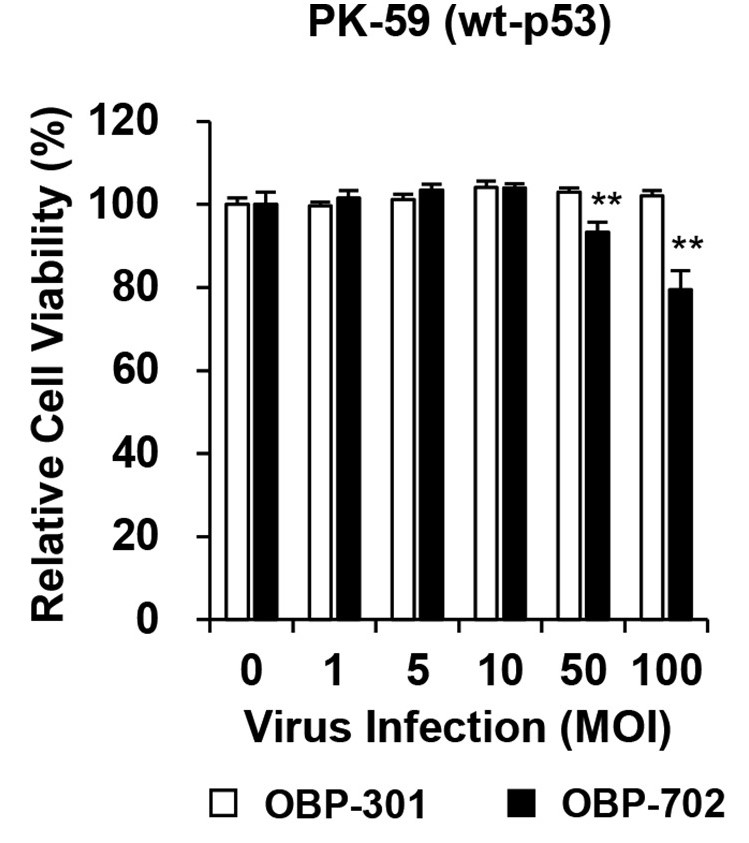 OBP-702 reduces human PDAC cell viability. (OA Literature)