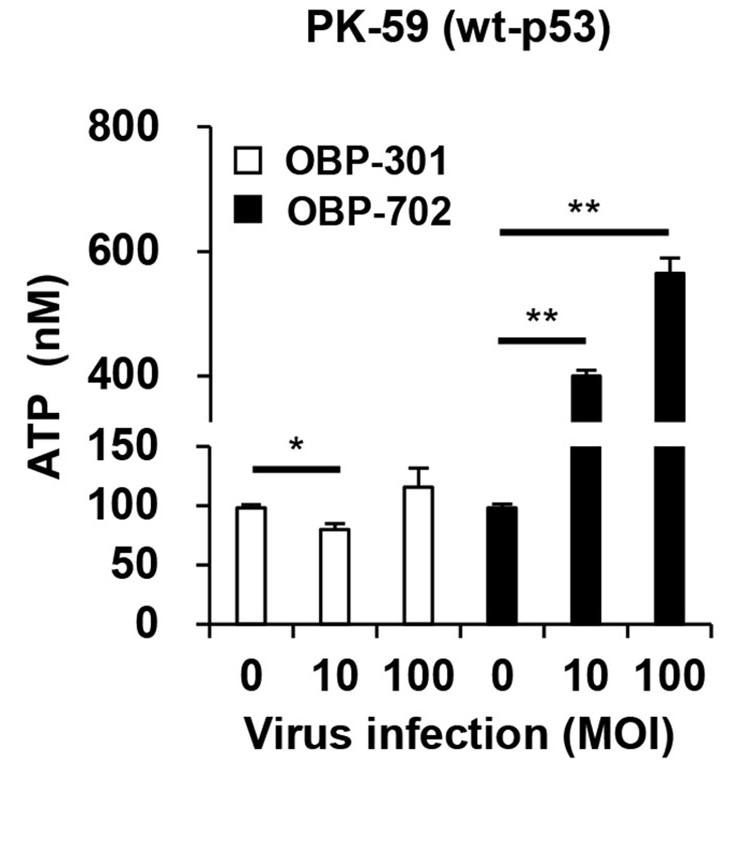 OBP-702 induces immunogenic cell death and ATP release in human PDAC cells. (OA Literature)