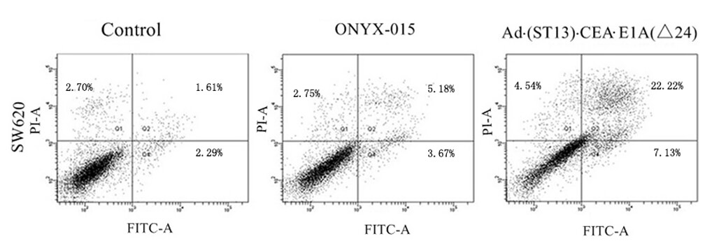 The effect of the oncolytic virus on the apoptosis of tumor cell lines was detected by flow cytometry. (OA Literature)