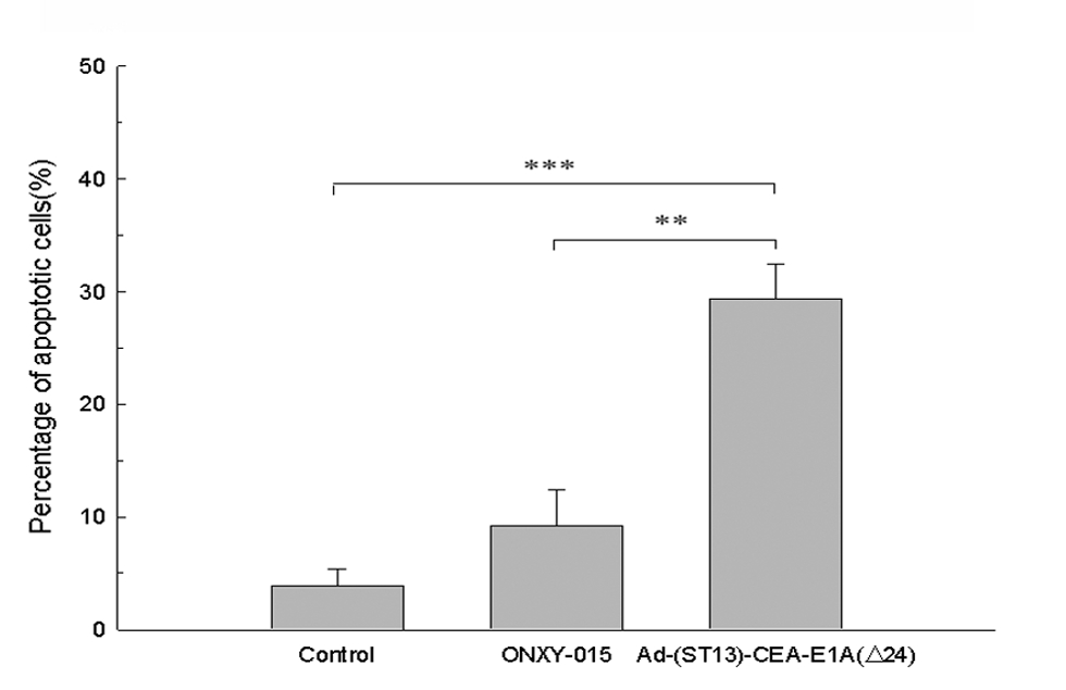 Statistical results of oncolytic adenovirus induced apoptosis in tumor cell lines. (OA Literature)