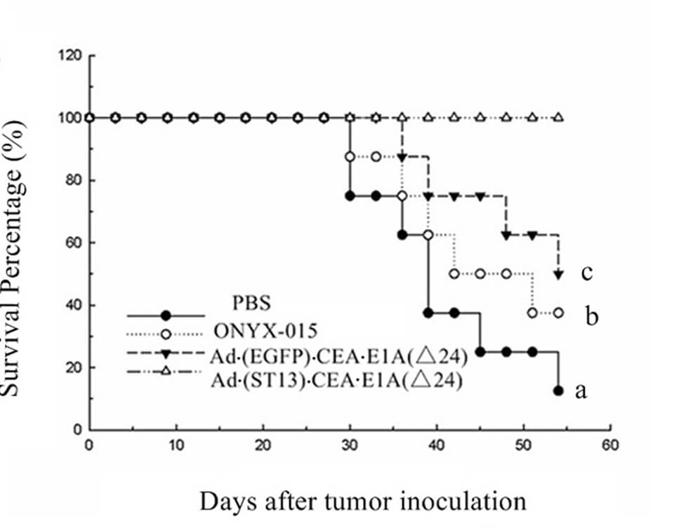 Survival curves of animals during the observation period. (OA Literature)