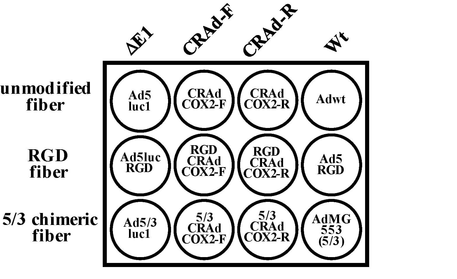 Schematic of the experimental design used in the determination of tumor cell activity using crystal violet staining. (OA Literature)