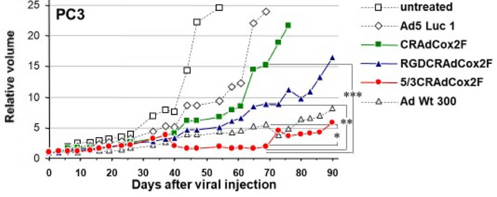 Various oncolytic adenoviruses driven by the Cox2l promoter can effectively slow the growth of tumor cells in mice. (OA Literature)