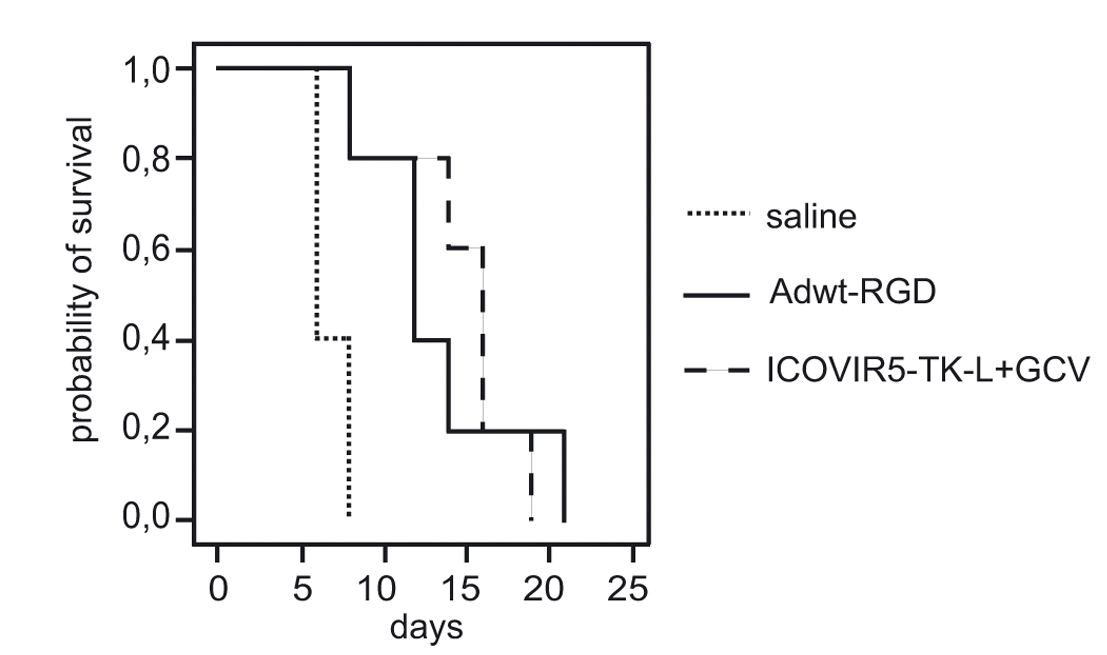 The effect of oncolytic adenovirus loaded with TK on the survival time of tumor-bearing mice was detected, and the survival curve was drawn. (OA Literature)