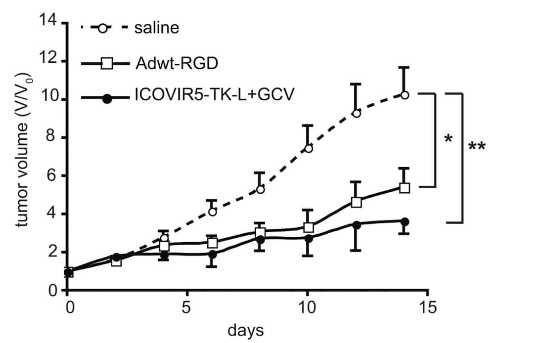 The effect of TK-loaded oncolytic adenovirus on tumor volume in mice was detected and plotted. (OA Literature)