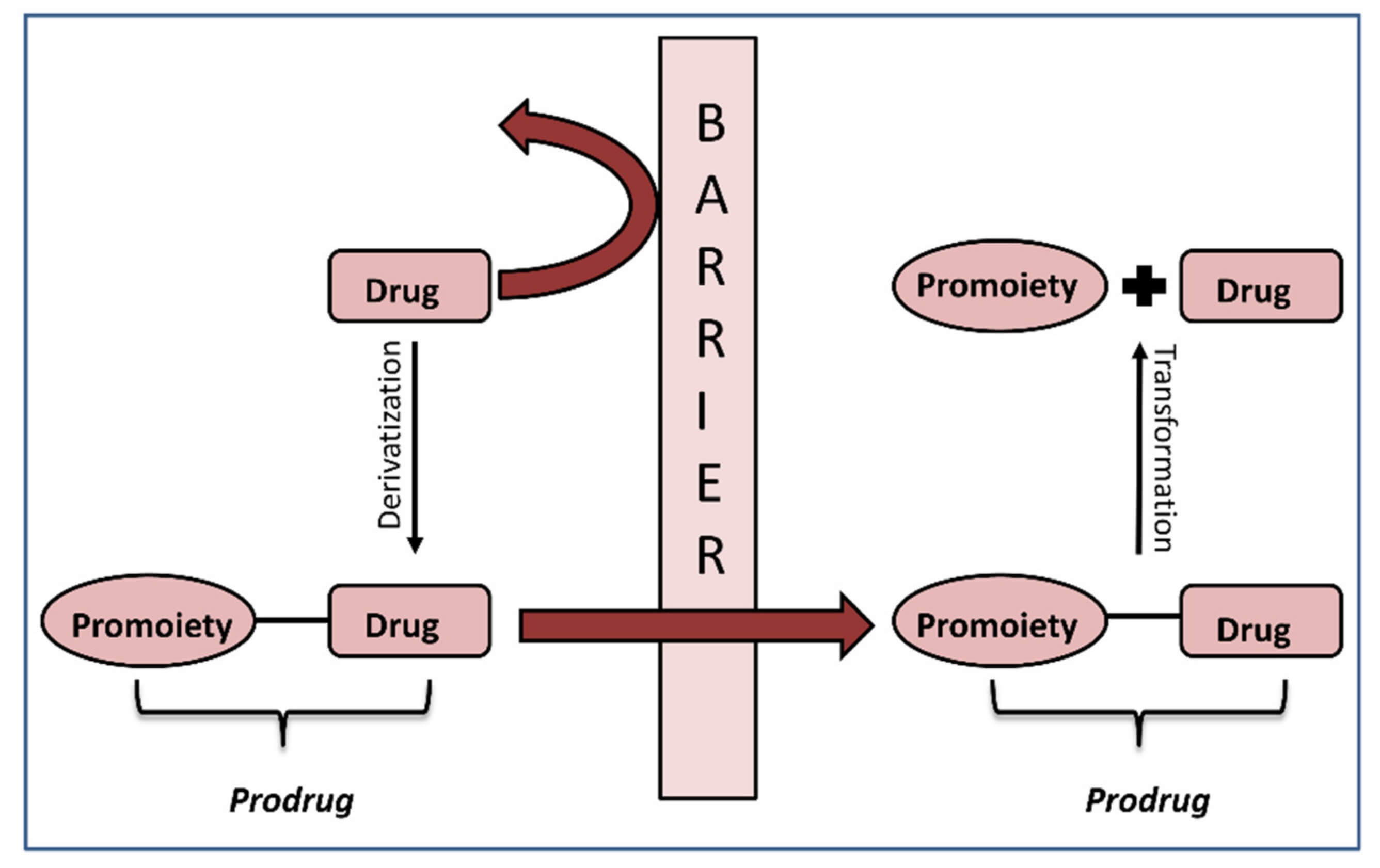 Illustration of the prodrug approach concept. (OA Literature)