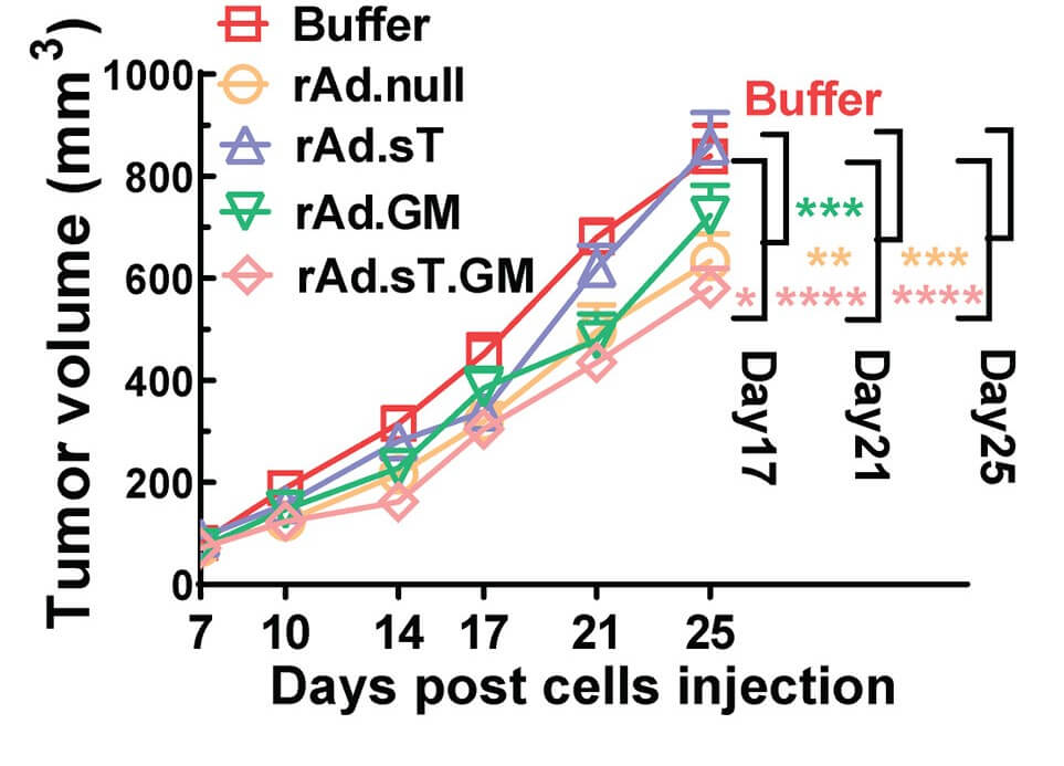Changes in tumor volume over a period of time after orthotopic injection of 4T1 tumor cells followed by treatment with oncolytic adenovirus loaded with GMCSF and control mice. (OA Literature)