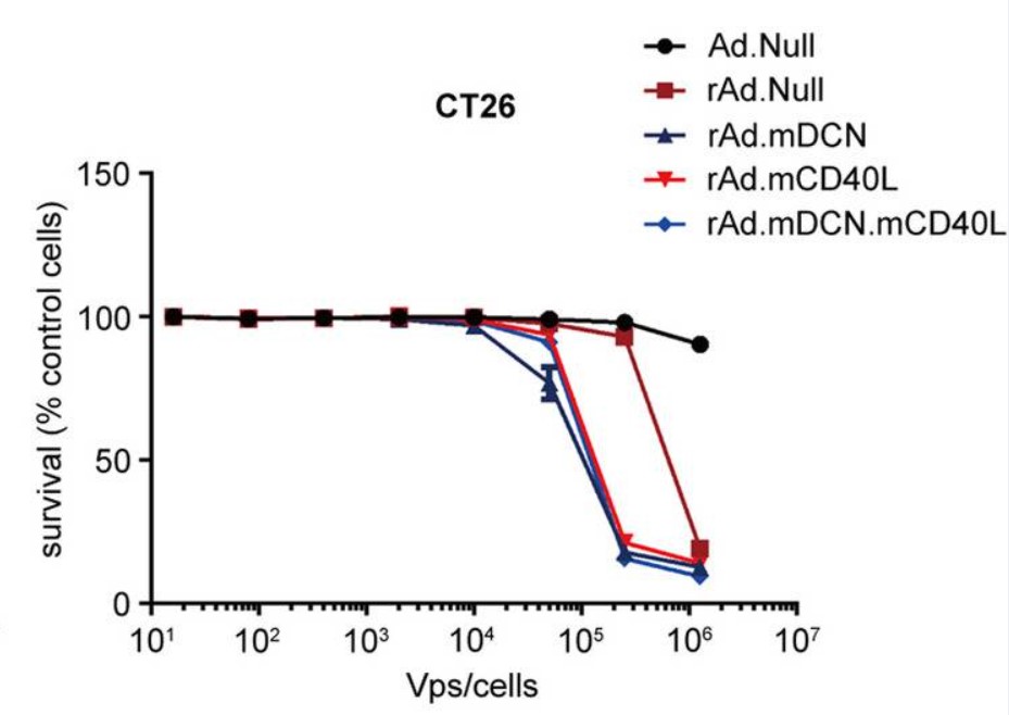 CT26 cells were infected with oncolytic adenovirus loaded with CD40L and control virus. After a period of time, SRB staining was performed to determine cell viability. (OA Literature)