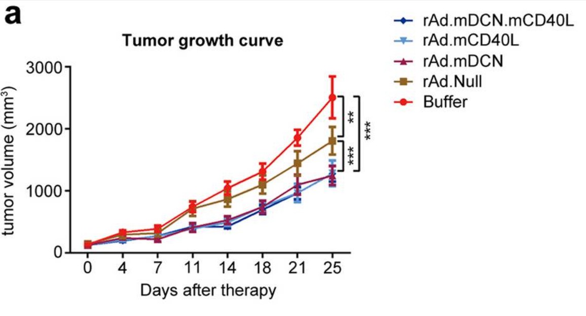 Changes in tumor volume over time in CD40L-loaded oncolytic adenovirus treated and control mice following subcutaneous injection of CT26 tumor cells. (OA Literature)