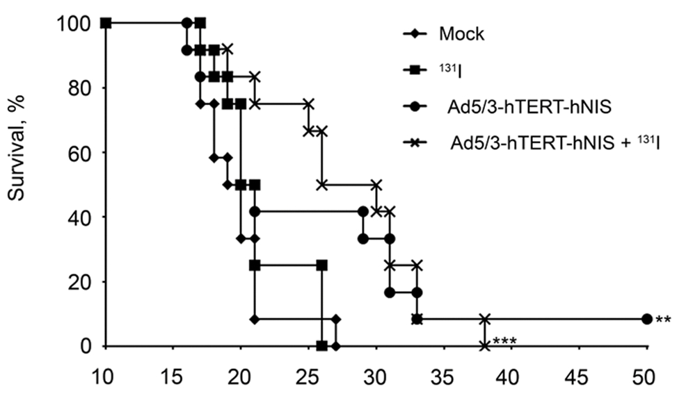 Ad5/3-hTERT-hNIS significantly prolonged the survival of tumor-bearing mice. (OA Literature)
