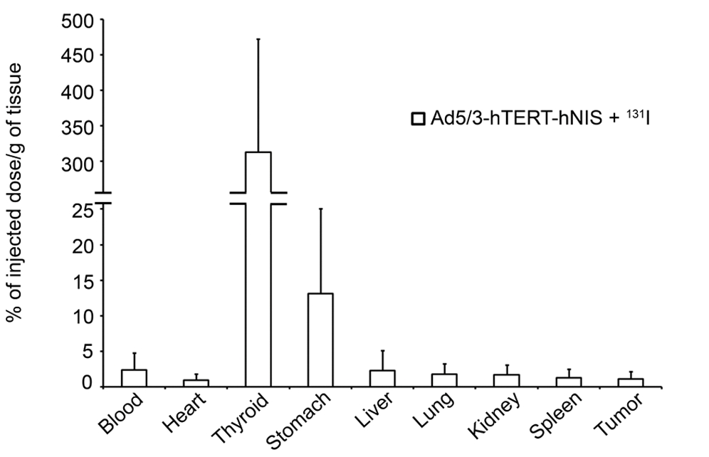 Iodine distribution at 48 hours after the first intravenous injection of oncolytic virus and at 24 hours after the first injection of radioiodine. (OA Literature)