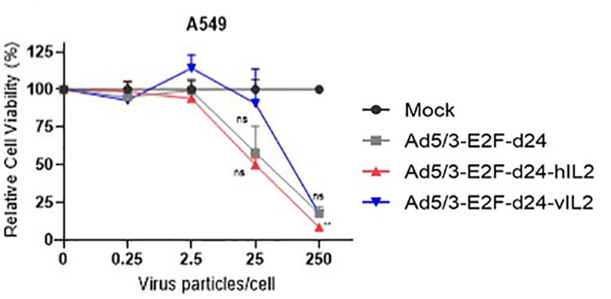 Both oncolytic adenovirus loaded with human IL-12 genome and IL-12 variants showed attenuated activity against tumor cells. (OA Literature)