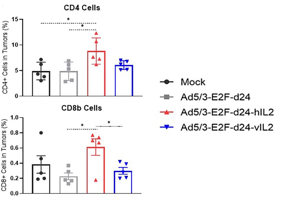 Treatment with an oncolytic adenovirus loaded with the human IL-12 genome improved CD4+ and CD8+T cell numbers. (OA Literature)