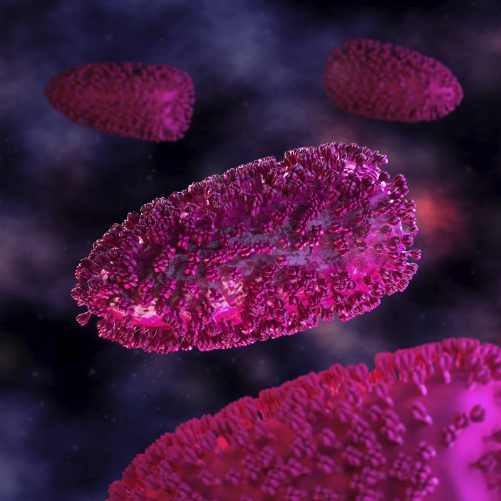 Introduction of Maraba Virus as Oncolytic Virus (Creative Biolabs Authorized)