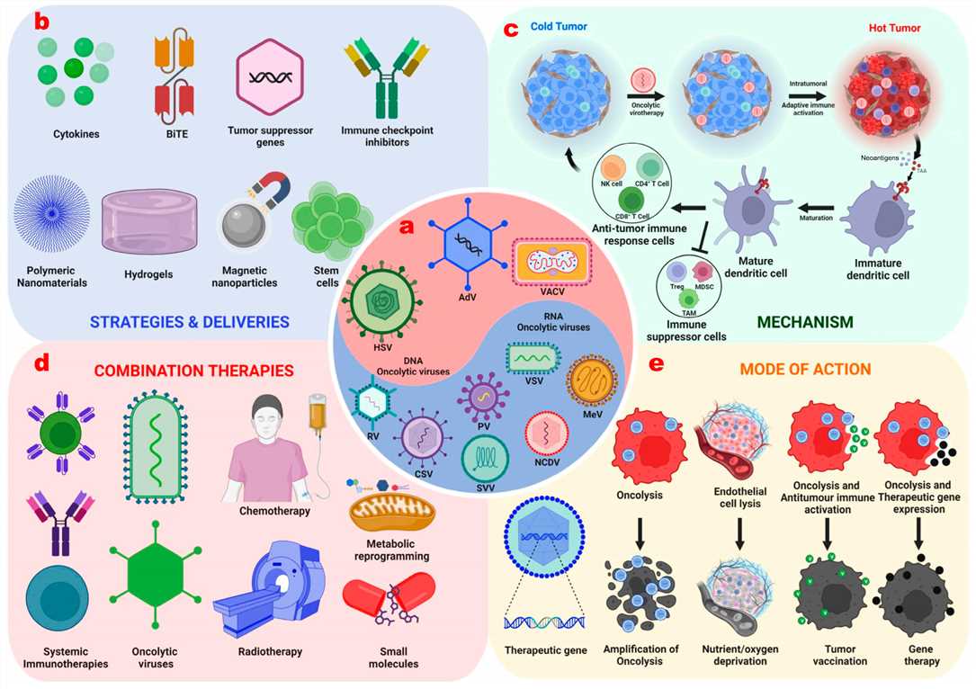 Enhancing oncolytic viral efficacy through genome editing and combination with other treatments. (OA Literature)