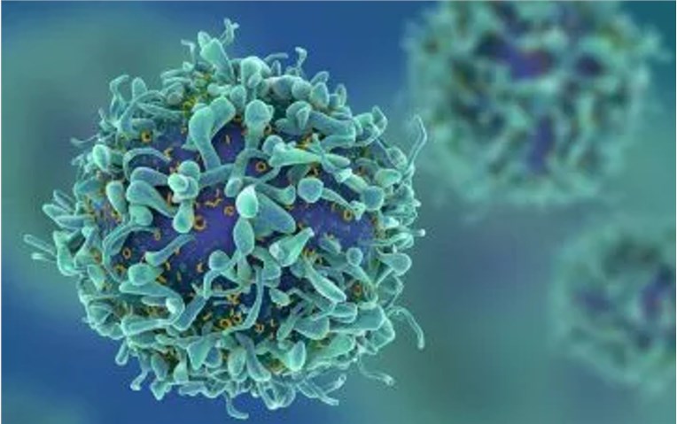 Oncolytic Viruses in Mesothelioma Treatment (Creative Biolabs Authorized)