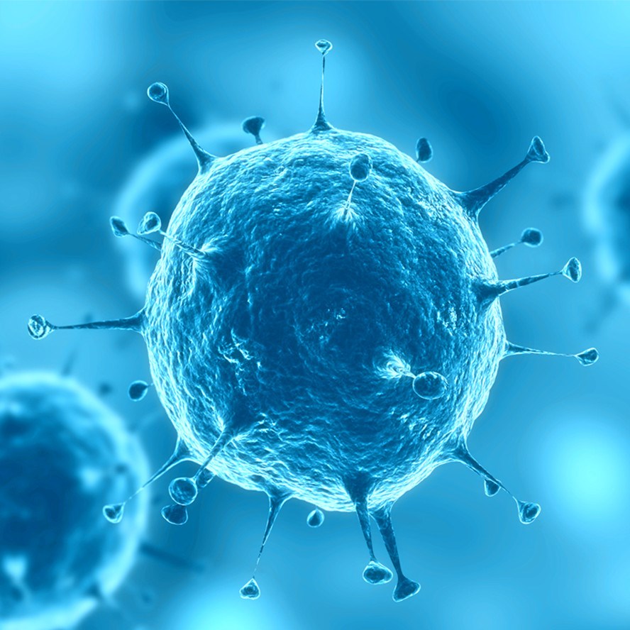 View by Viruses (Creative Biolabs Authorized)