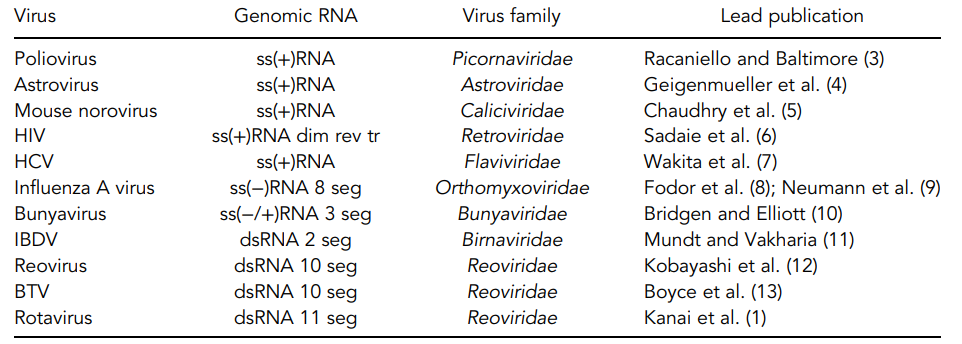 Plasmid-only based reverse genetics systems of selected RNA viruses. 