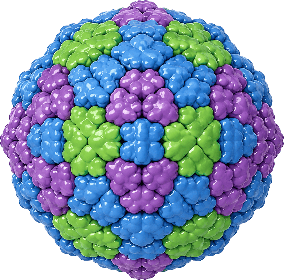 Coxsackievirus