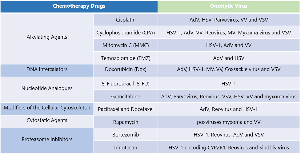 Oncolytic Virotherapy Development for Combination Therapy with Chemoradiotherapy