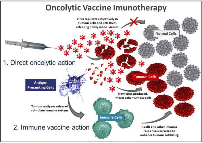 Oncolytic Virotherapy Development for Combination Therapy with Cancer Vaccines