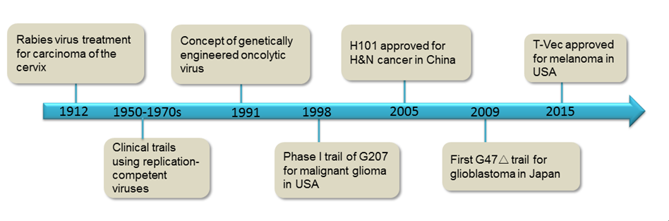 Milestones of oncolytic virus therapy development.