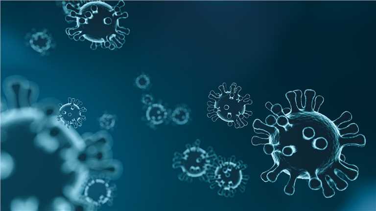 One-Stop Oncolytic Vaccinia Virus Enhancement Service at Creative Biolabs