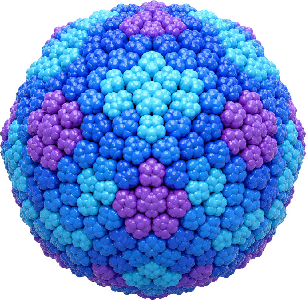 Poliovirus