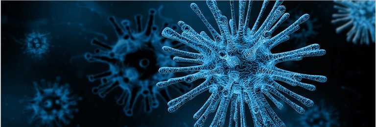 VACV Expressing Carcinoembryonic Antigen (CEA) (Creative Biolabs Authorized)