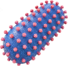 Vesicular Stomatitis Virus