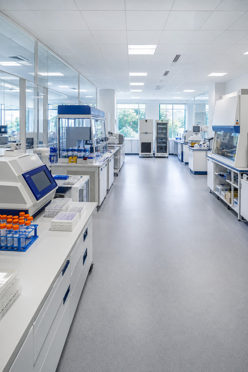 Oncolytic virus engineering technology platforms