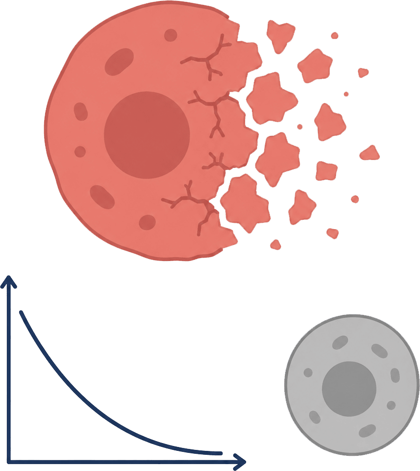 Cytotoxicity assays