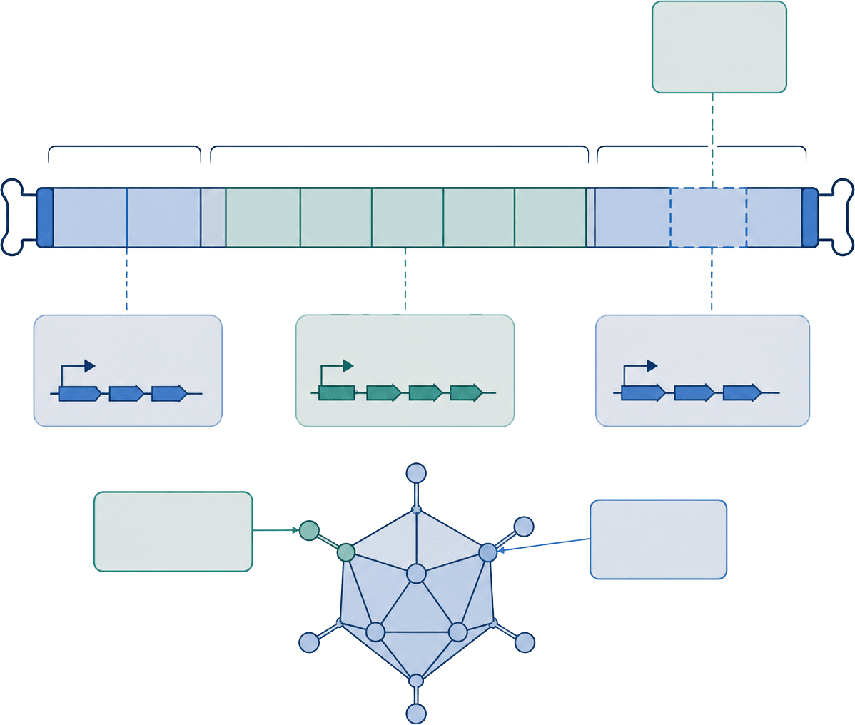 Genome design review